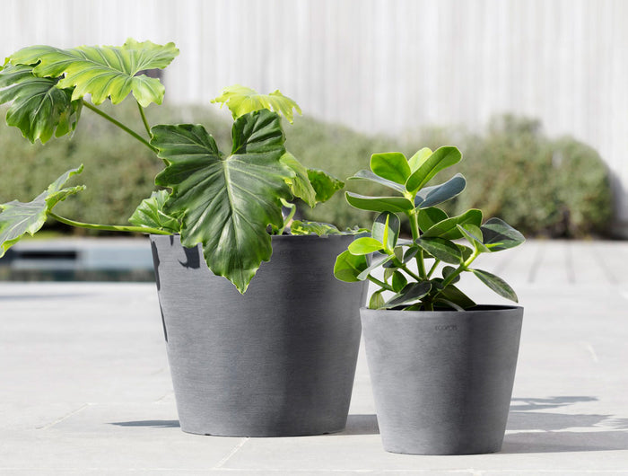 Frequently asked questions