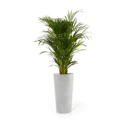 Amsterdam Tall Round Planter