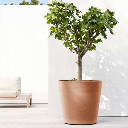 Amsterdam Large Round Planter