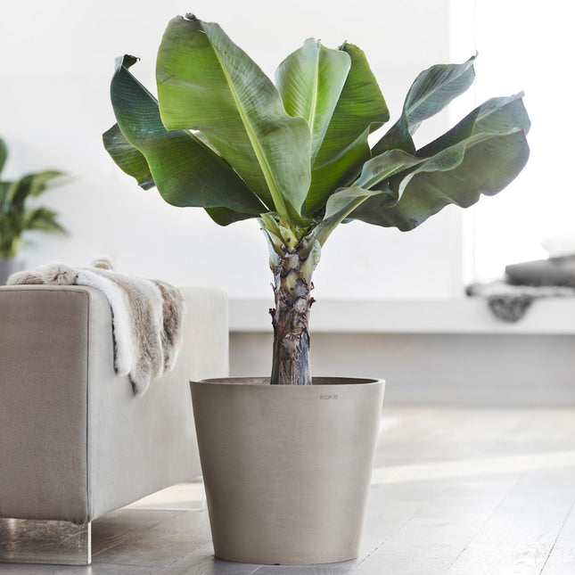 Amsterdam Round Planter