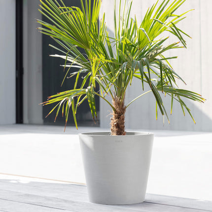 Amsterdam Round Planter