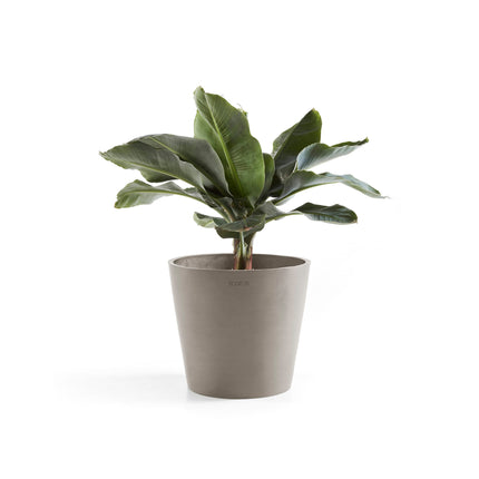 Amsterdam Round Planter
