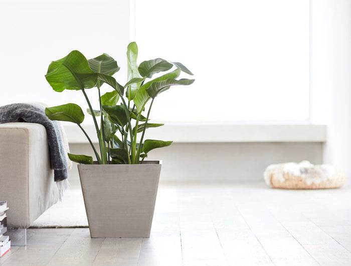 Scandinavian Pots and Planters.