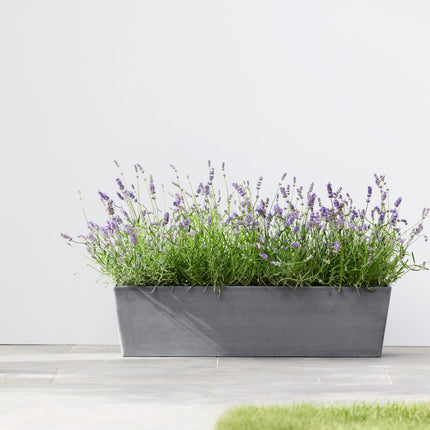 Bruges Rectangular Planters