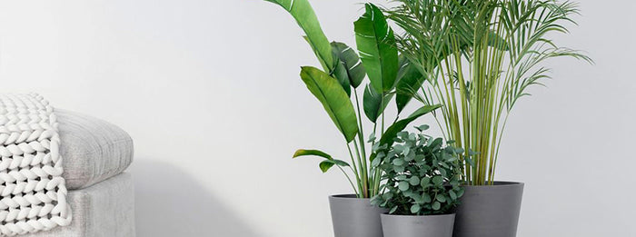 Sustainability and Materials: The Core of Ecopots