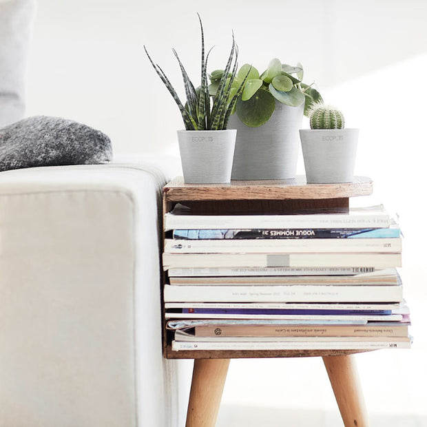 Sustainable Style for Modern Living