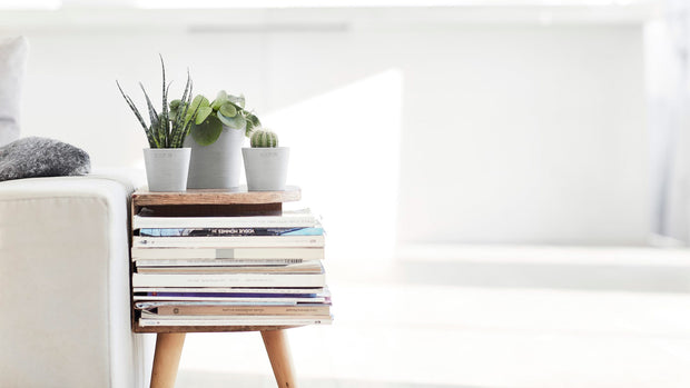 Sustainable Style for Modern Living