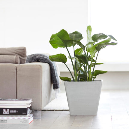 Rotterdam Square Planter